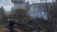 Kebakaran masih menjadi jenis bencana yang paling dominan di Aceh, yang meliputi kebakaran permukiman maupun kebakaran hutan dan lahan (karhutla).